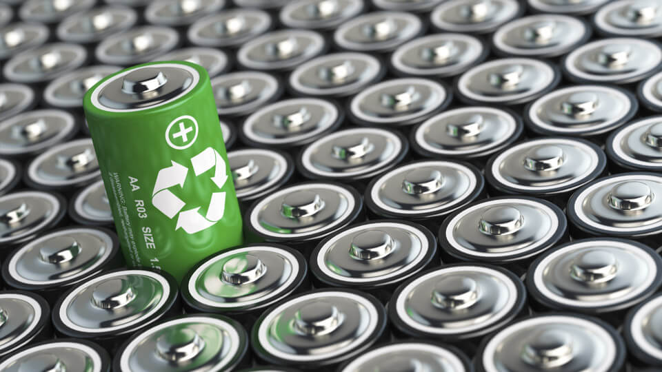 Bio-hydrometallurgical Battery Recycling